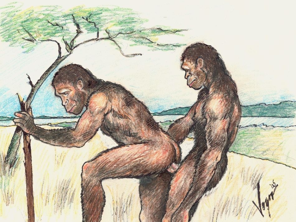 Illustration of At the Dawn of Time