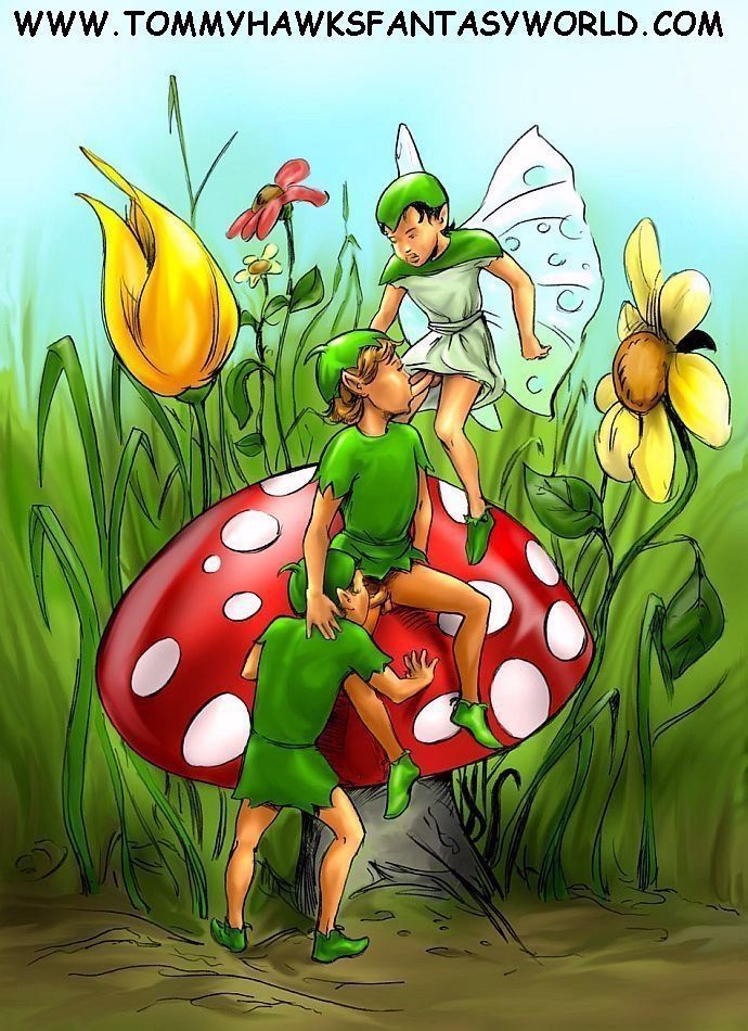 Illustration of A The Discontented Pixie